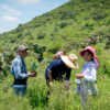 Reforestan el cerro de San Juan Zitlaltepec