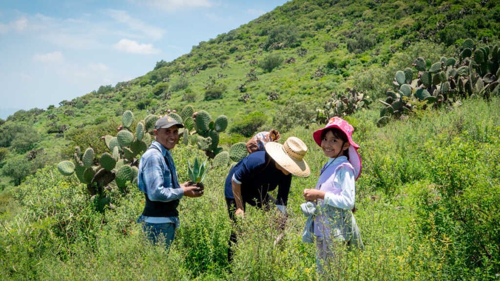 Reforestan el cerro de San Juan Zitlaltepec