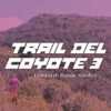 Coyote Trail 3