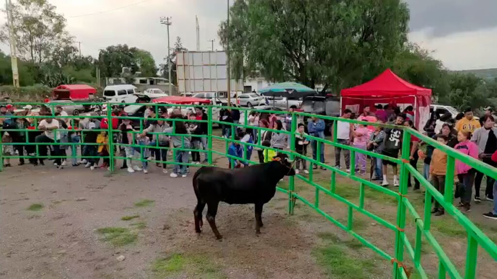 toros-lluvia-risas-alegria-en-el-mirador. Fuente: Carlos Torres
